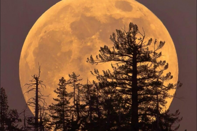 Бобровое суперлуние: Когда ожидания не оправдывают реальность